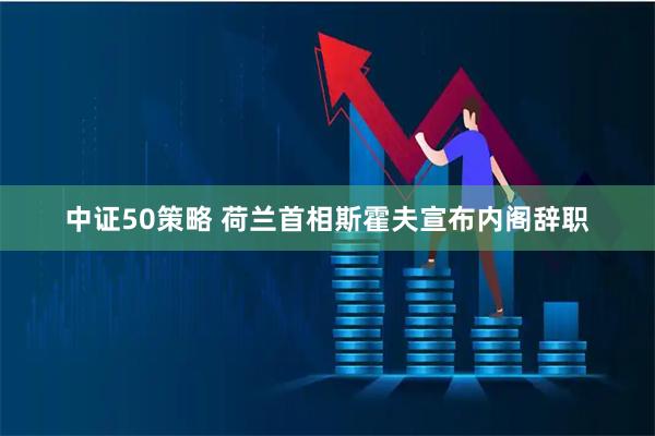 中证50策略 荷兰首相斯霍夫宣布内阁辞职