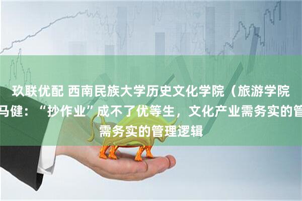 玖联优配 西南民族大学历史文化学院（旅游学院）教授马健：“抄作业”成不了优等生，文化产业需务实的管理逻辑