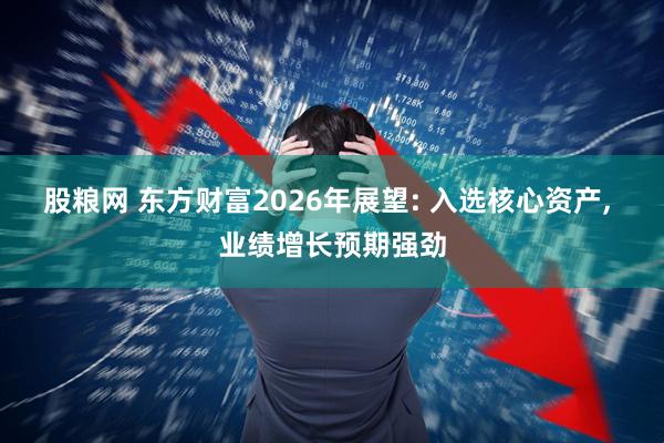 股粮网 东方财富2026年展望: 入选核心资产, 业绩增长预期强劲
