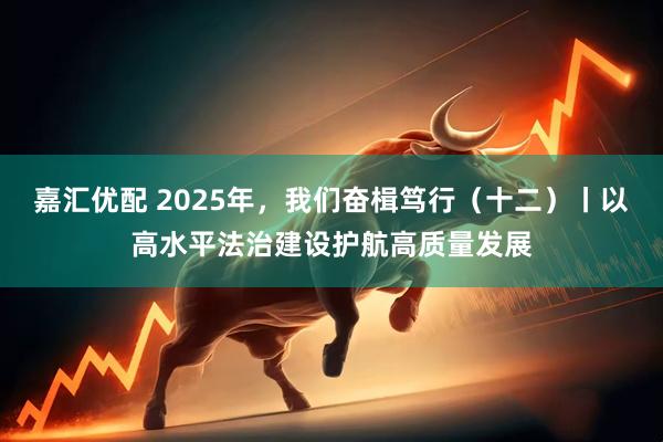 嘉汇优配 2025年，我们奋楫笃行（十二）丨以高水平法治建设护航高质量发展