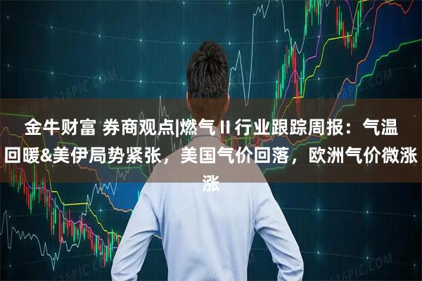 金牛财富 券商观点|燃气Ⅱ行业跟踪周报：气温回暖&美伊局势紧张，美国气价回落，欧洲气价微涨